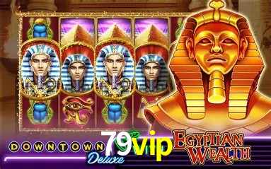 Interface Premium 79vip